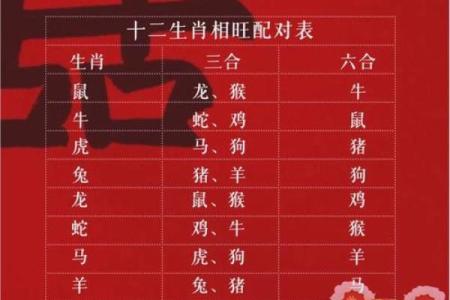 九出十三归是什么生肖