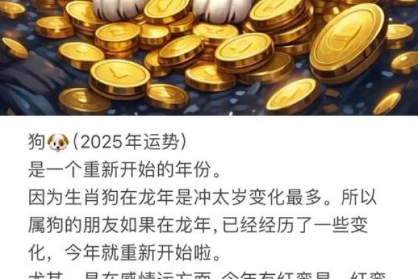 2025年属狗招财颜色 2025属狗买彩票最佳时间