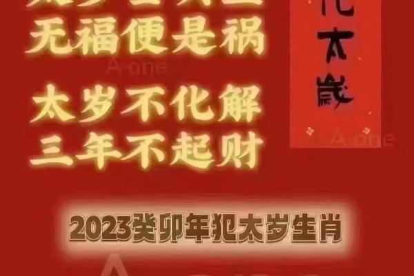 2023年属鼠要出大事 2023年属鼠要出大事