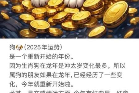 2024年属狗人的全年运势详解_2024年属狗人的全年运势详解1994