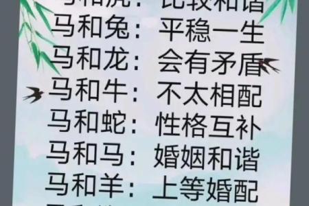 属狗和属马的适合做夫妻吗_属狗的和属马的在一起合适吗