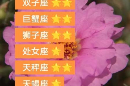 金牛座今日运势星座运势