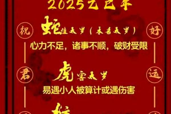 属马的人2025 属马的人2025年犯太岁吗 属马的人2025 属马的人2025年犯太岁吗