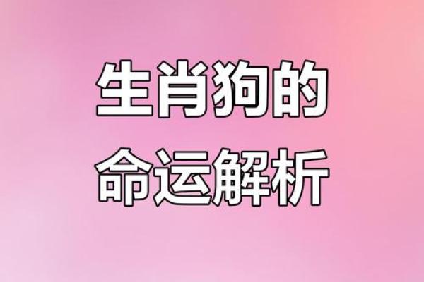 1994年属狗今日运势柱982年属狗女2025年_1994年属狗今日运势解析1982年属狗女2025年运程预测