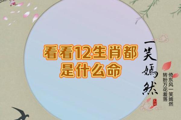 风雨同舟是什么生肖 风雨同舟是什么生肖