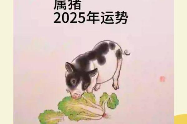 2025属猪百年难遇_2025属猪百年难遇运势大爆发机遇与挑战并存