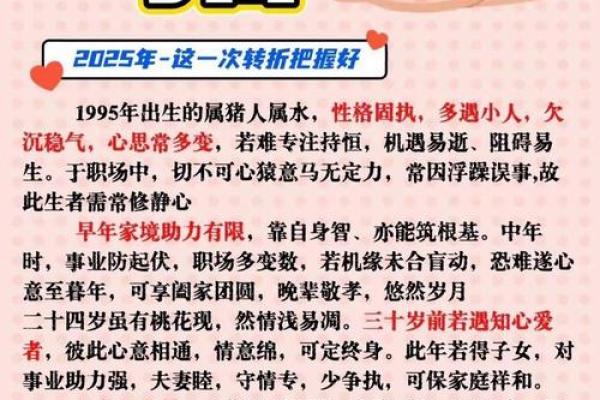 2025属猪人运程详解财运事业爱情全面解析