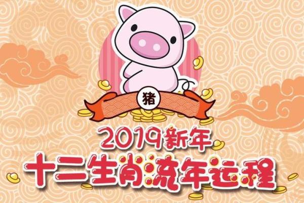 猪年2025年的运势及运程详解 2025猪年运势全解析运程详解与吉凶预测