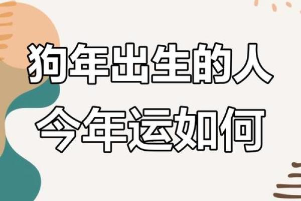 2025年属狗运势解析06年出生者未来运程全揭秘