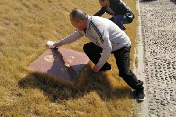 万古长青打一生肖 万古长青打一生肖