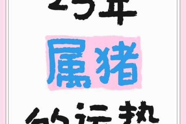 1995的猪在2025的运程 2025年1995年属猪人运势详解财运事业感情全解析 1995的猪在2025的运程 2025年1995年属猪人运势详解财运事业感情全解析