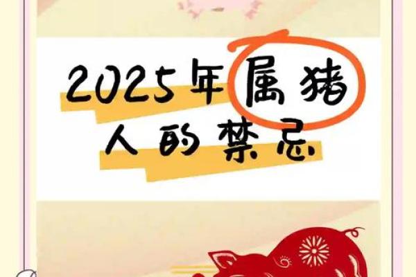 2025猪运势_2025猪运势怎么样