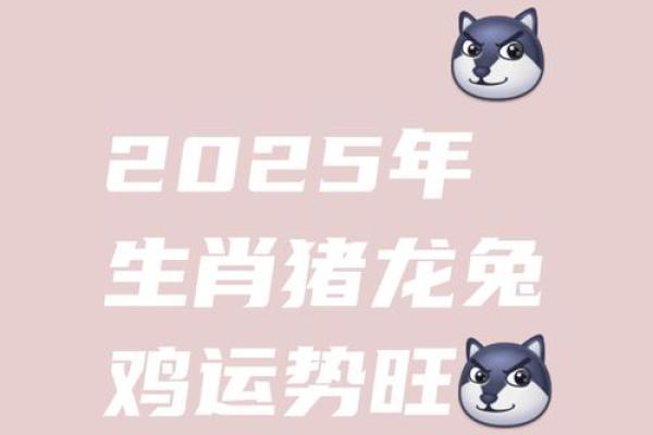 71年属猪人2025年运势及运程_2025年71属猪人的全年运势如何 71年属猪人2025年运势及运程_2025年71属猪人的全年运势如何