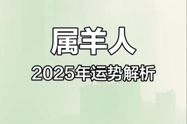 2015年羊2025年运势_2015年羊2025年运势解析未来十年运程大揭秘 2015年羊2025年运势_2015年羊2025年运势解析未来十年运程大揭秘