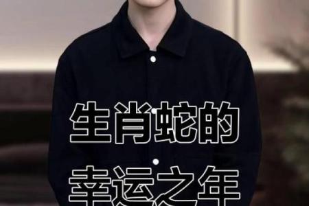 属猪的男人2025年运势_2025年属猪男人运势解析事业财运爱情全揭秘