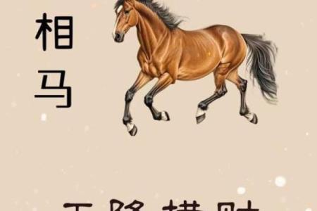 1978年属马是什么命五行属什么_1978年10月属马五行缺什么