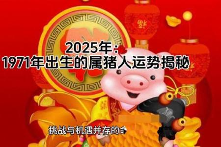 71年属猪男人在2025怎样 71年属猪男未来三年怎么样