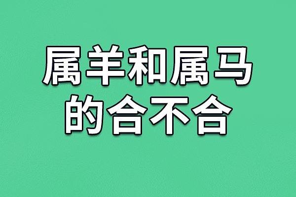 属羊男和属马女的适合做夫妻吗_男羊女马结婚的大忌 属羊男和属马女的适合做夫妻吗_男羊女马结婚的大忌