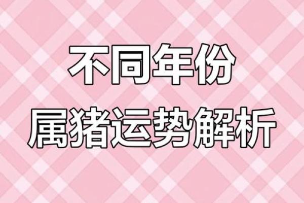 59年的属猪人今年运势如何 59年生肖猪2021年运势 59年的属猪人今年运势如何 59年生肖猪2021年运势