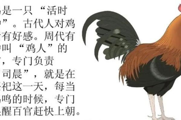 卸磨杀驴是什么生肖 卸磨杀驴是什么生肖