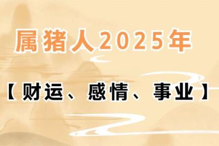 属猪2025年的运气和财运怎么样_2025年猪人命运