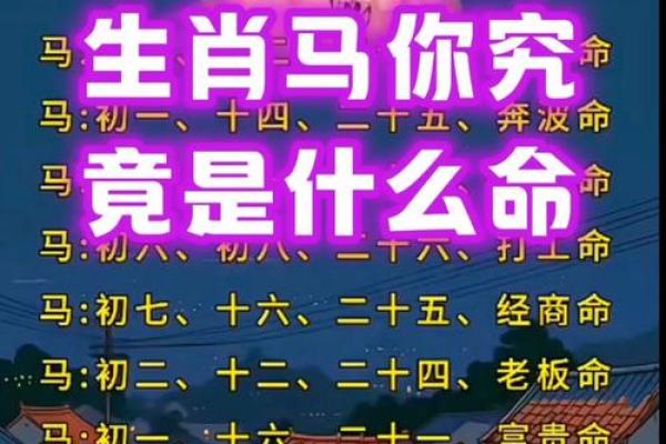 属马人出生日的命运 属马人出生日的命运怎么样 属马人出生日的命运 属马人出生日的命运怎么样