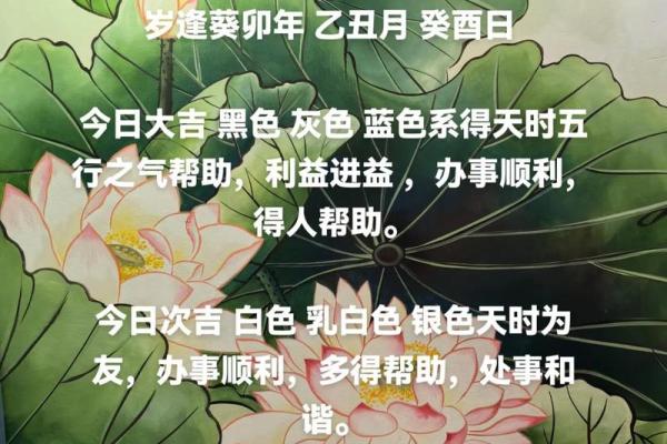 五行穿衣12月6日分享(五行穿衣每日分享2020年12月6日) 五行穿衣12月6日分享(五行穿衣每日分享2020年12月6日)