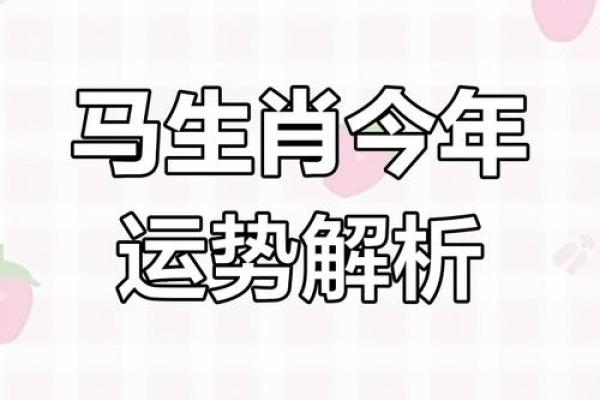 属马2025年运气怎么样_属马2025年运气怎么样呢 属马2025年运气怎么样_属马2025年运气怎么样呢