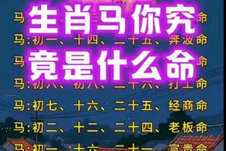 属马人出生日的命运 属马人出生日的命运怎么样