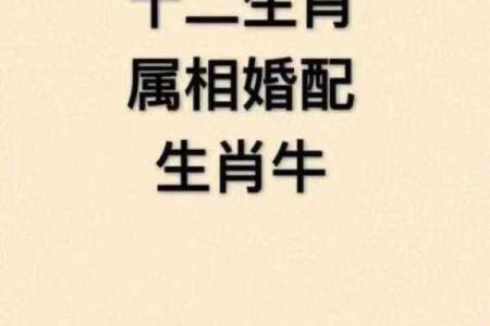 属牛的和什么属相最配