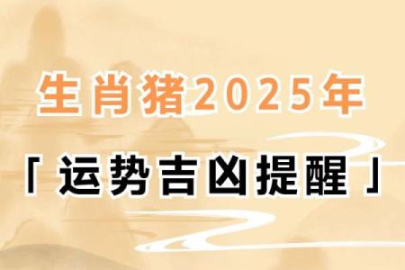 2025年属猪人运势1983年_2025年猪的运势