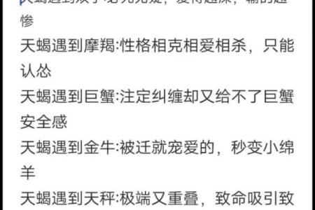 陶白白认为双子男和天蝎女(陶白白讲双子男)