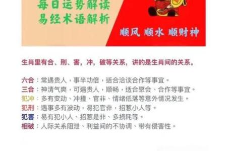 因地制宜什么生肖