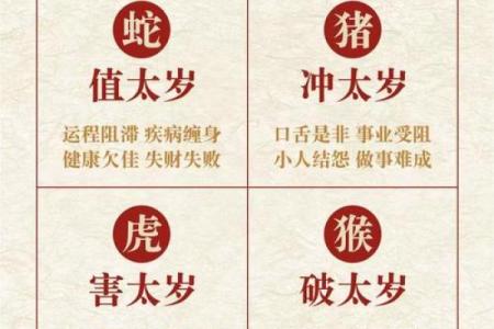 2025年属猪人年龄详解几岁运势如何