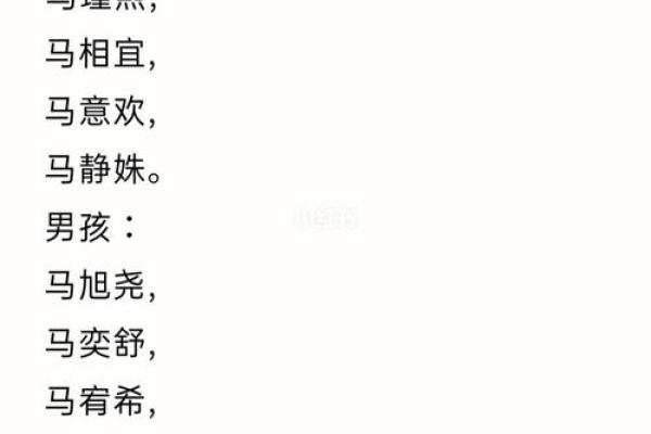 2月份出生的属马男孩起什么名字好姓名