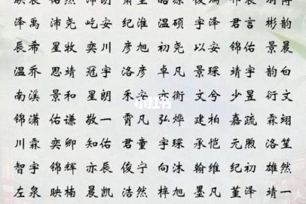2019年3月24号未时出生的男孩起名时要注意什么姓名