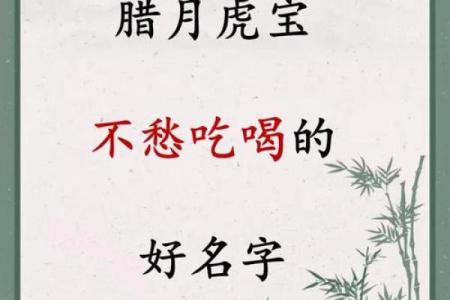 傍晚6点出生的属虎男孩如何起名，宜用什么字姓名