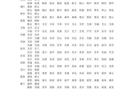 如何给属狗午时出生的男孩起名字，宜用什么字姓名