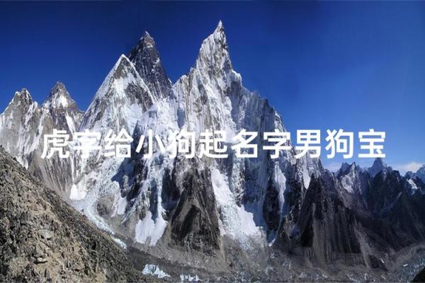 早上出生的属狗男孩怎么取名 ，宜用什么字姓名
