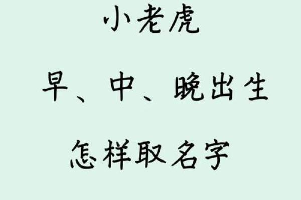 早上7点出生的属虎男孩怎么起名，适合什么字姓名