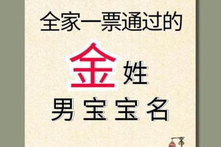 金姓男孩名字大全-金姓男孩起名字大全-金姓名字大全姓名