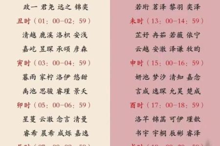 2019年5月25号子时出生的男孩要怎么起名字姓名