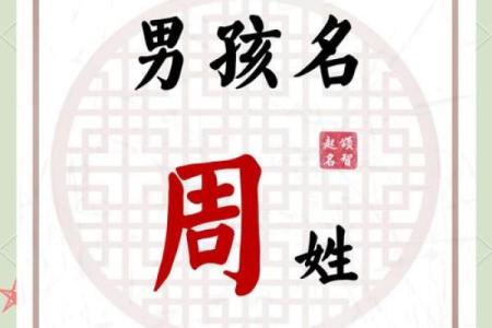 2019年出生的姓周女孩如何起名，宜用什么字姓名
