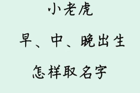 早上7点出生的属虎男孩怎么起名，适合什么字姓名