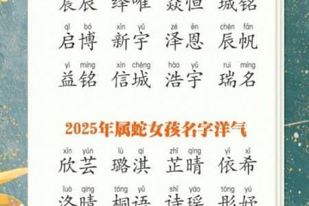 属蛇卯时出生的男孩如何取名字，宜用什么字姓名