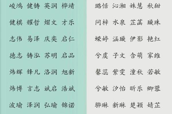 2月份出生的属猪男孩起什么名字好姓名 2月份出生的属猪男孩起什么名字好姓名
