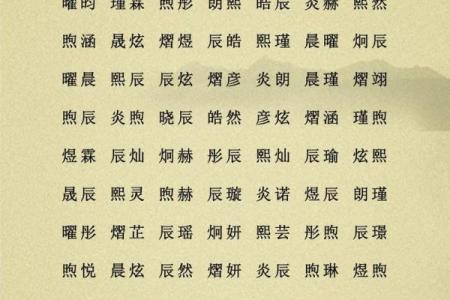 属鸡亥时出生的男孩该如何起名,宜用什么字姓名