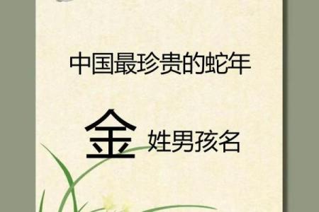 2019年3月23号酉时出生的男孩如何起名姓名