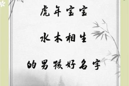 下午4点出生的属虎男孩起什么名，适合什么字姓名