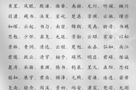 单姓男孩名字大全-单姓男孩起名字大全-单姓名字大全姓名
